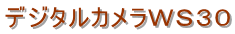 �f�W�^���J�����v�r�R�O